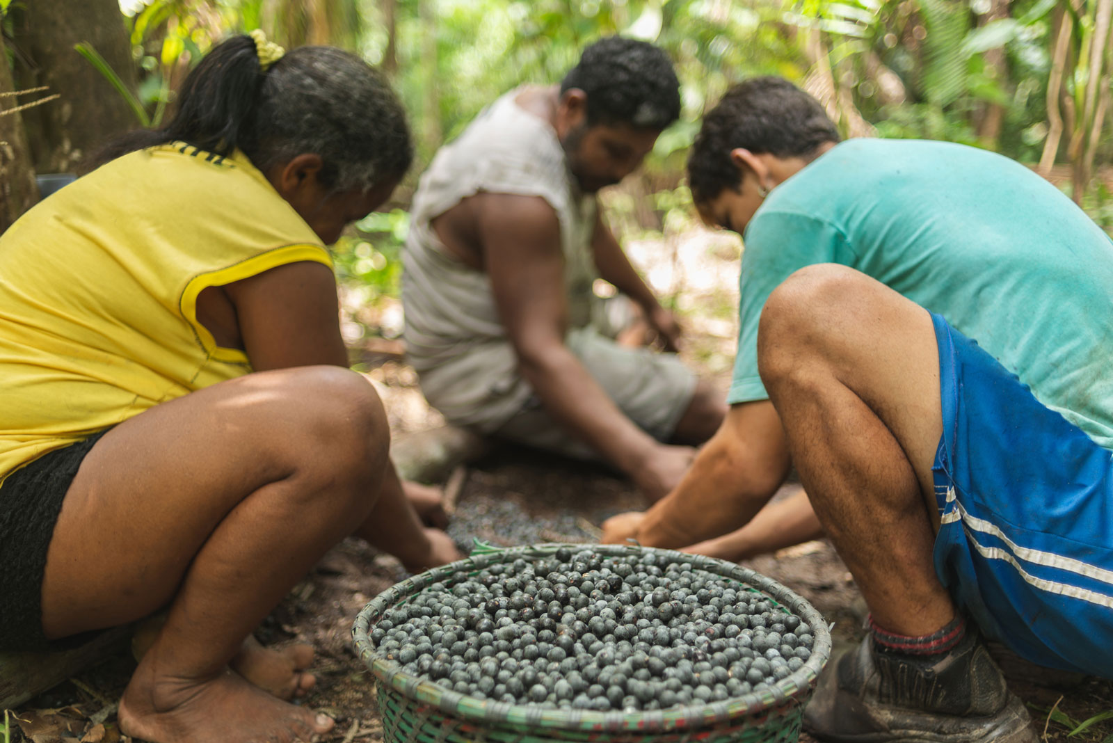 a group of people kneeling on the ground looking at a turtle