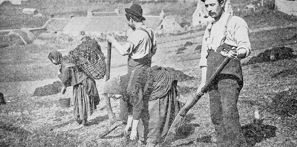 men and women working a field