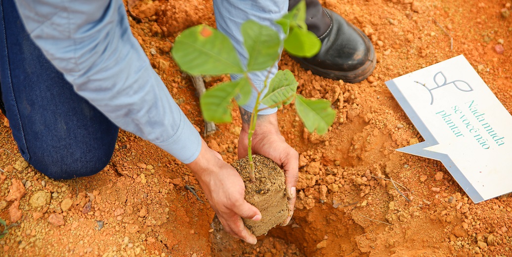 a person holding a plant